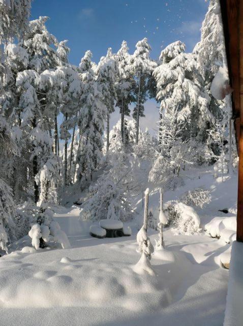 Pension Casa Selva Trin Екстериор снимка