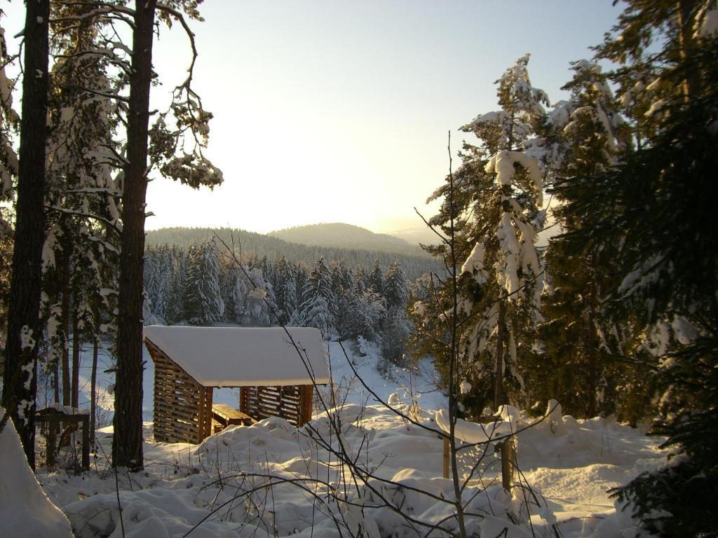 Pension Casa Selva Trin Екстериор снимка