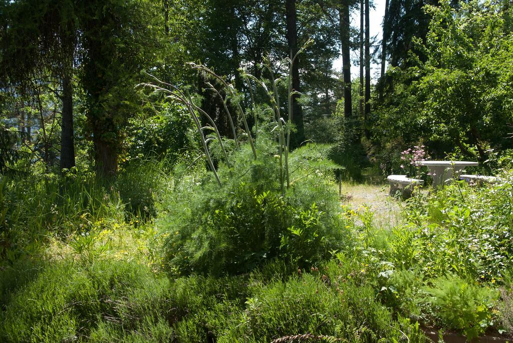 Pension Casa Selva Trin Екстериор снимка